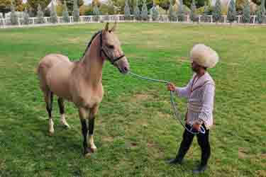 ashgabat-khiva image-1