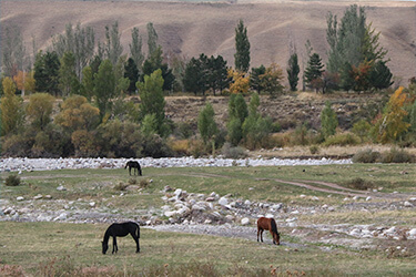 highlights-of-kyrgyzstan image-10