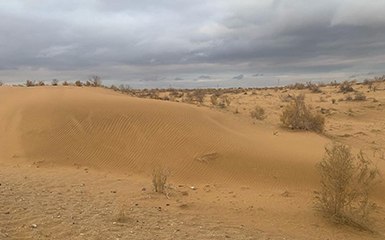 Aralkum Desert image