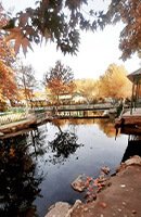 chiluchorchashma-image