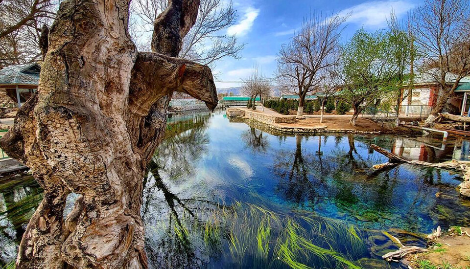 Chiluchorchashma image