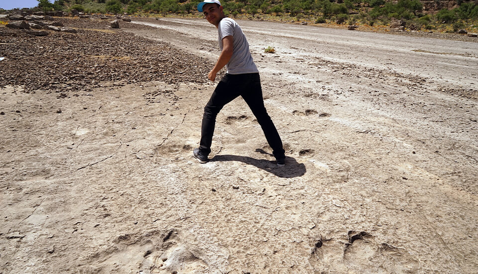 footprints-of-dinosaurs-image