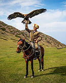 hunting-with-birds-image