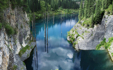 Panoramic view image