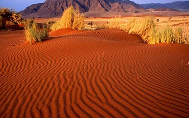 Kyzylkum Desert image