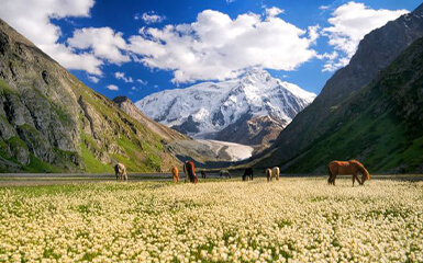 places-traveling-image