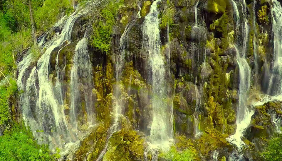 Sari Khosor image