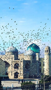 sheikh-muslihiddin-image