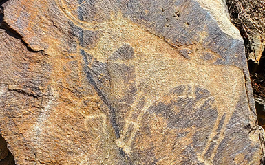 Stones with signs image